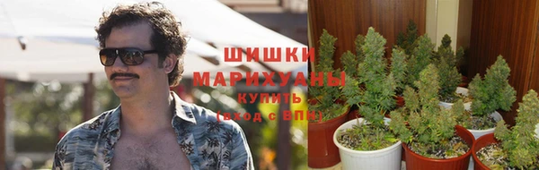 МДПВ Лихославль