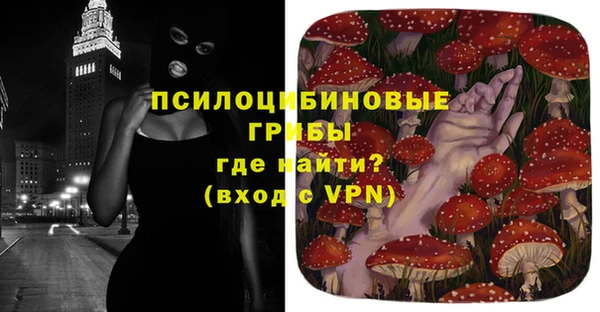 спайс Липки