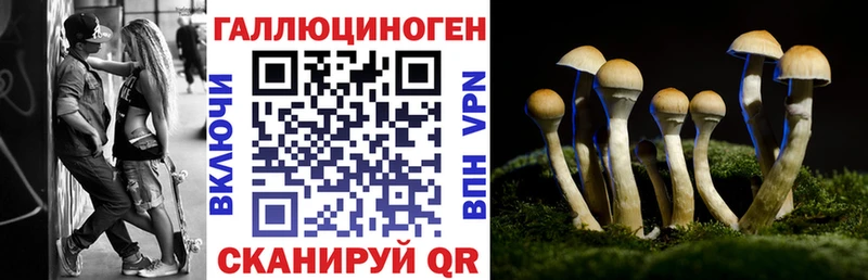 Псилоцибиновые грибы прущие грибы  Купить  Макушино 